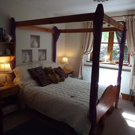 Woodpeckers 4*